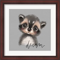 Framed Dream Raccoon