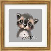 Framed Dream Raccoon