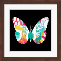 Framed Butterfly