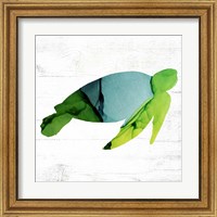 Framed 'Sea Turtle' border=