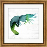 Framed Shrimp
