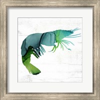 Framed Shrimp