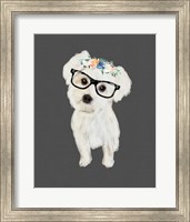 Framed Morkie