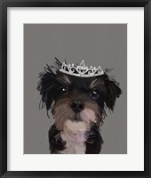 Framed Terrier