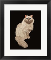 Framed Cat
