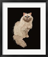 Framed Cat