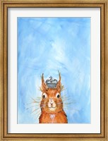 Framed King Squirrel