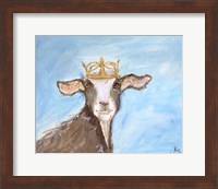 Framed Queen Goat