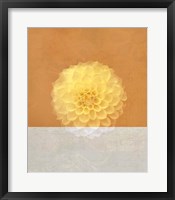 Framed Orange Flower