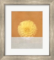 Framed Orange Flower