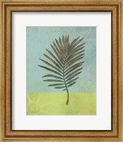 Framed 'Palm Leaf' border=