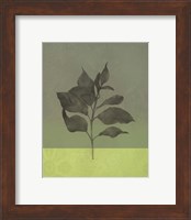 Framed 'Green Leaves' border=