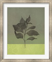 Framed Green Leaves