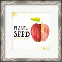Framed 'Plant a Seed' border=