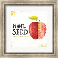 Framed Plant a Seed