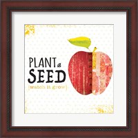 Framed Plant a Seed