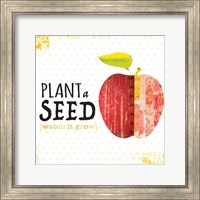 Framed Plant a Seed
