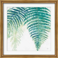 Framed Ferns III Square Cool