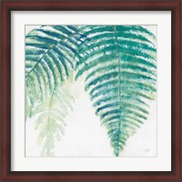 Framed Ferns III Square Cool