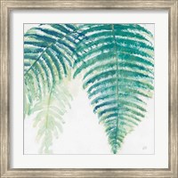 Framed Ferns III Square Cool