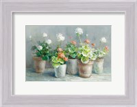 Framed Farmhouse Geraniums Crop