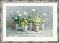 Framed Farmhouse Geraniums