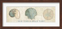 Framed Beach Treasures VIII