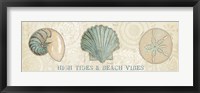Framed Beach Treasures VIII