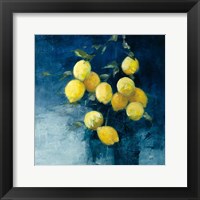 Framed Lemon Grove II