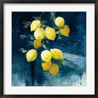 Framed Lemon Grove I
