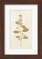 Framed Botanical Study VIII Gold
