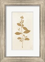 Framed Botanical Study VIII Gold