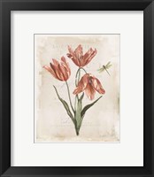 Framed 'Antiquarian Blooms III' border=