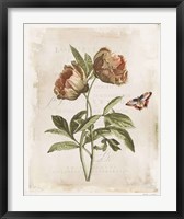 Framed Antiquarian Blooms VI