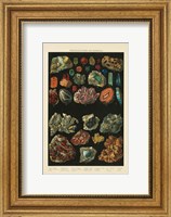 Framed Precious Stones III