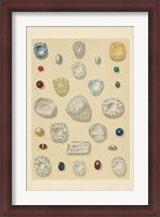 Framed Precious Stones I