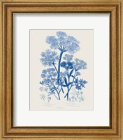 Framed 'Flowering Plants VI Mid Blue' border=