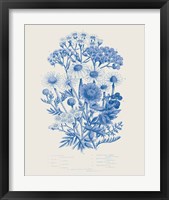 Framed 'Flowering Plants V Mid Blue' border=