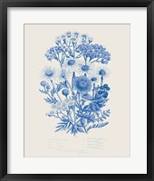 Flowering Plants V Mid Blue Framed Print