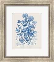Framed 'Flowering Plants IV Mid Blue' border=