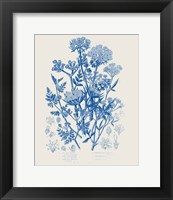 Framed Flowering Plants IV Mid Blue
