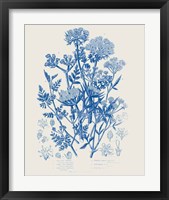 Framed 'Flowering Plants IV Mid Blue' border=