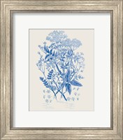 Framed 'Flowering Plants I Mid Blue' border=