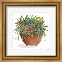 Framed Terracotta Succulents I