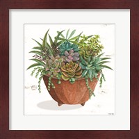 Framed Terracotta Succulents I