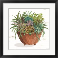 Terracotta Succulents I Framed Print