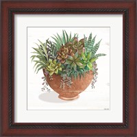 Framed Terracotta Succulents II