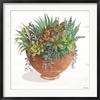 Framed Terracotta Succulents II