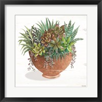 Framed Terracotta Succulents II
