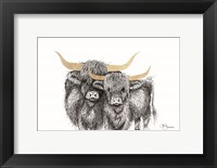 Framed Highland Cattle